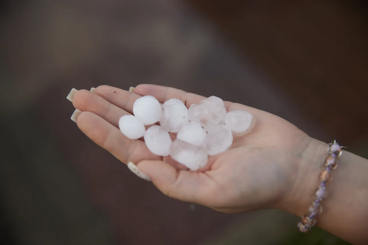 Seguro cobre granizo: pedras de gelo na mão de morador após temporal